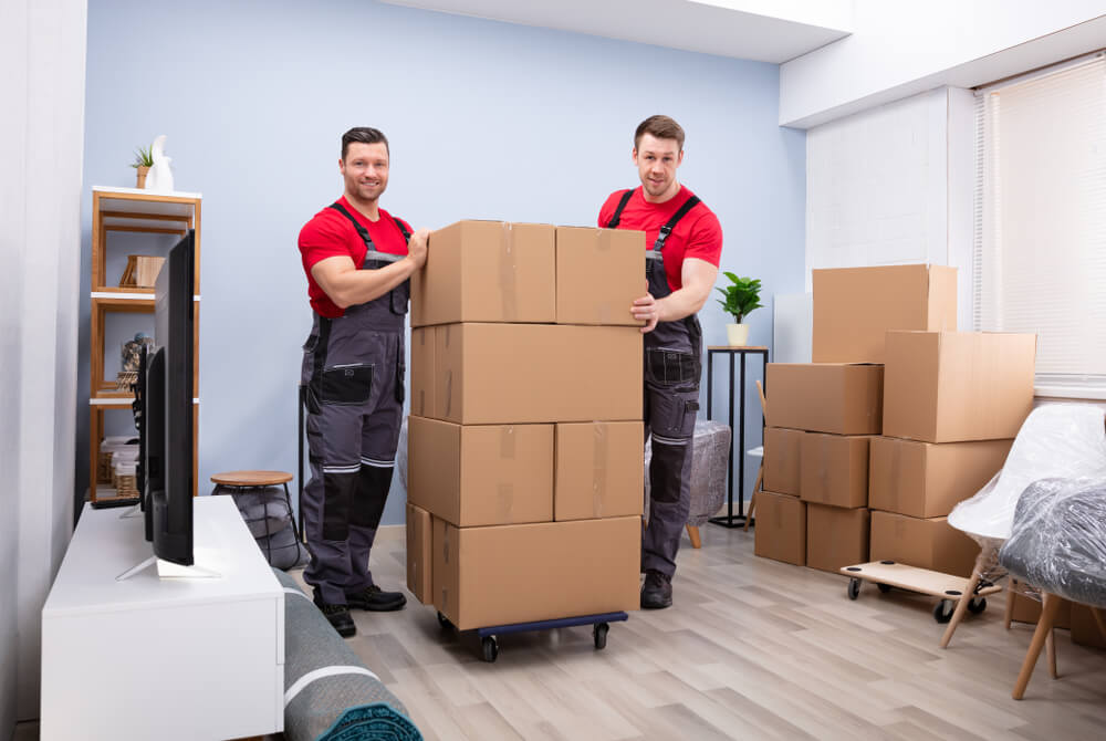 Cottage Grove Commercial Relocation Experts